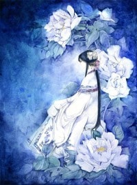 《天寶小兵傳奇》