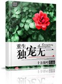 重生之獨愛無二
