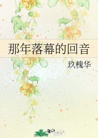 那年落幕的回音